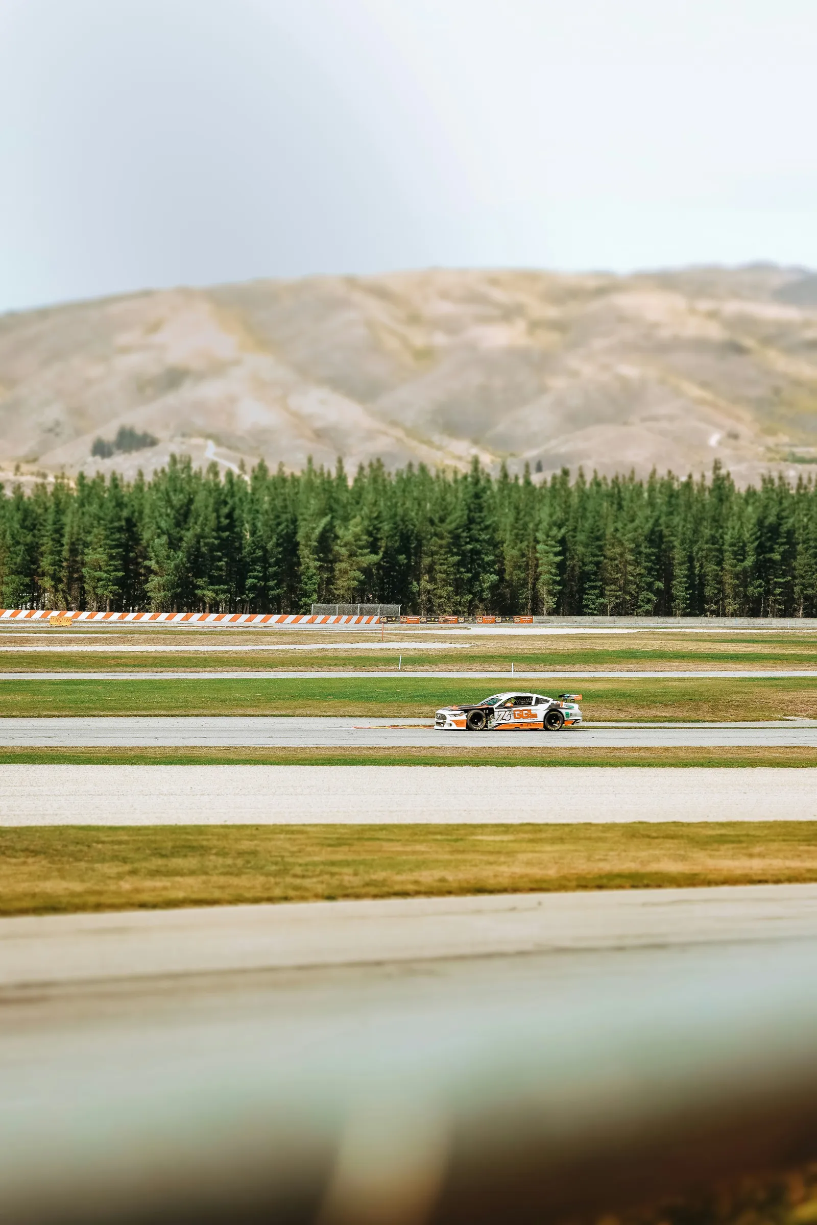 White race car trees and mountains