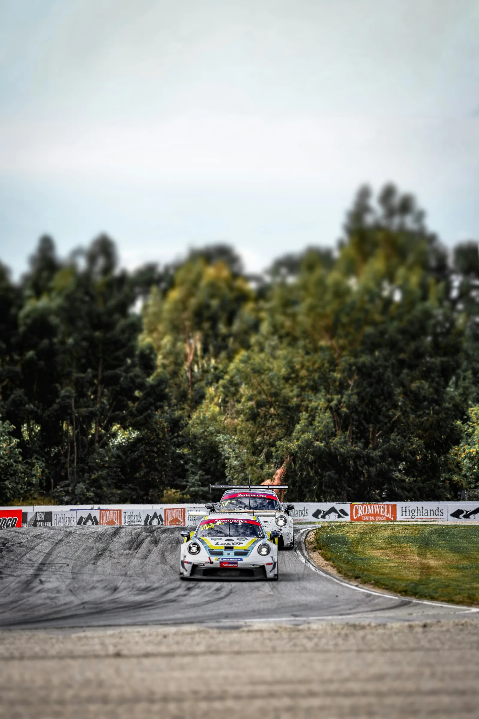 Race cars with a forest backdrop